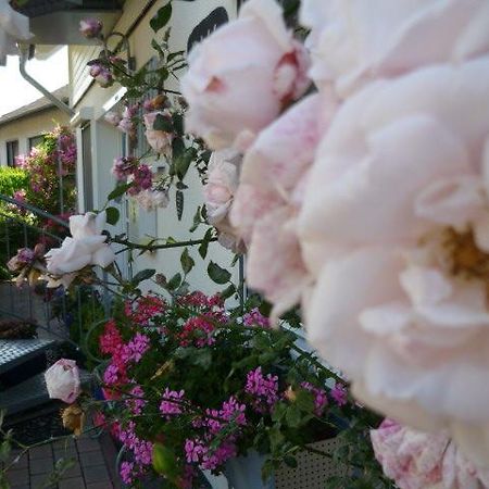 Gastehaus Rosengarten Im Nahetal Kirn Exterior foto