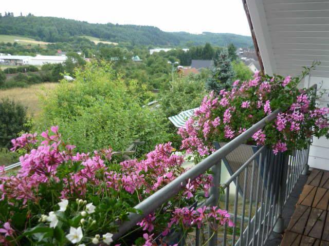 Gastehaus Rosengarten Im Nahetal Kirn Quarto foto